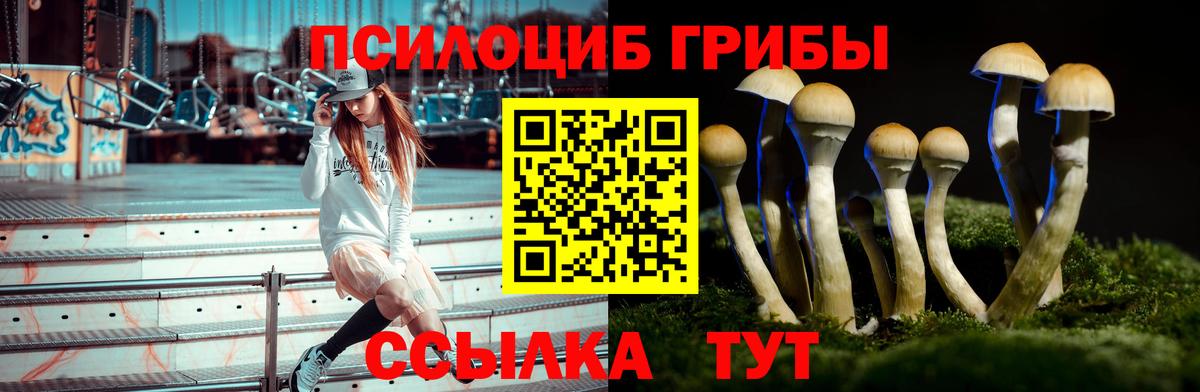Тара  Галлюциногенные грибы GOLDEN TEACHER  Псилоцибиновые грибы мухоморы  Вход с VPN 