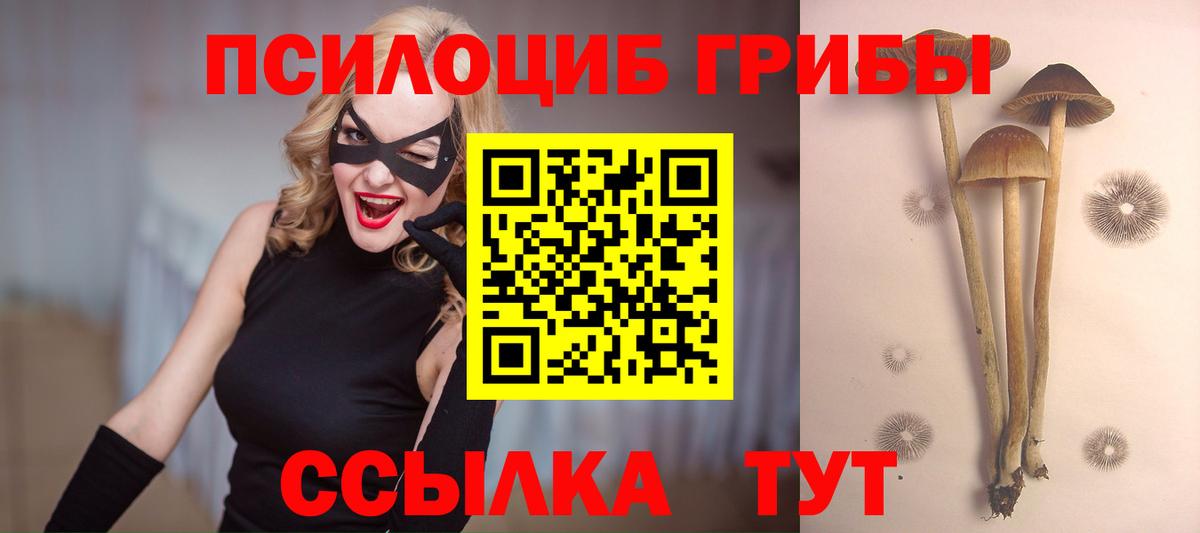 Псилоцибиновые грибы MAGIC MUSHROOMS Тара